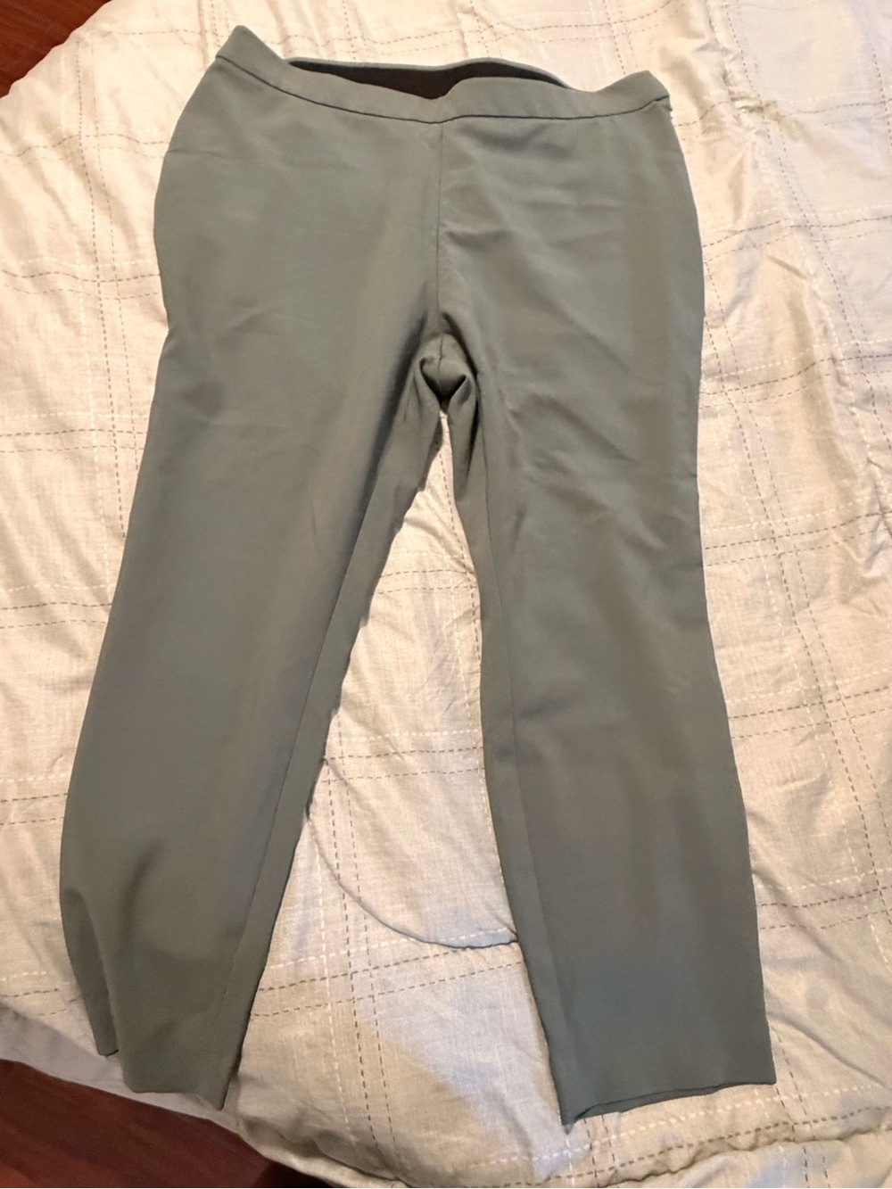 a new day Sage Green Pull-On Women's Leggings